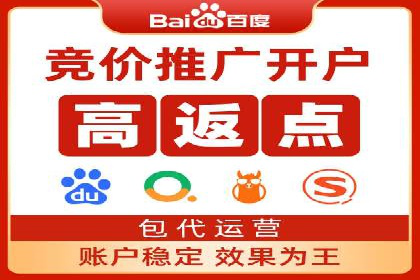 某企业通过百度SEM实现ROI最大化的案例